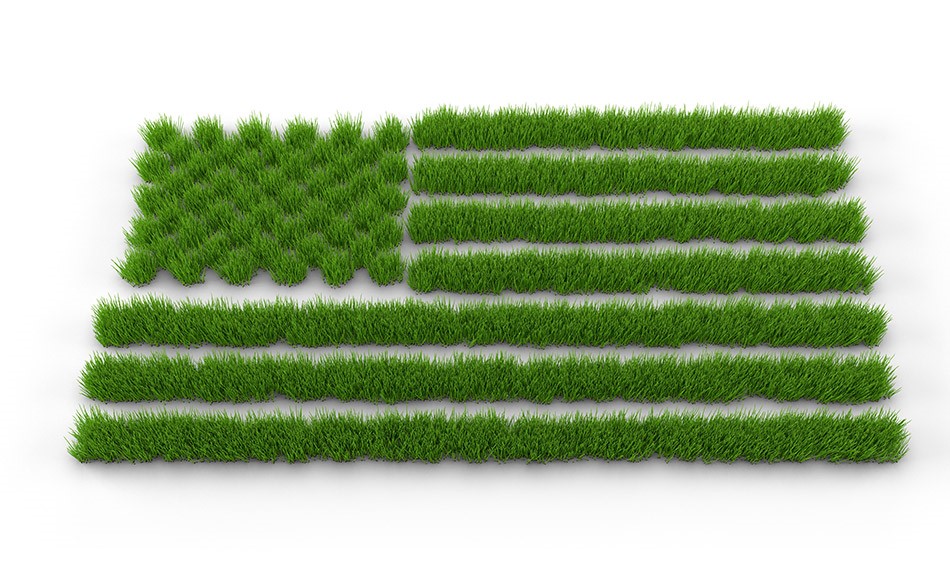 Does Biden Green Energy Plan Make Economic Sense?