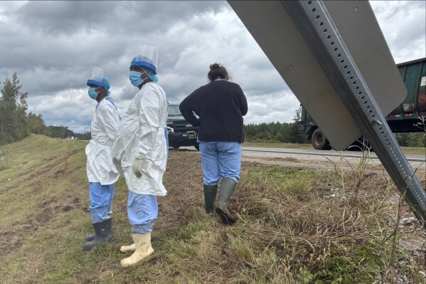 Individuals on the search for the missing monkeys.